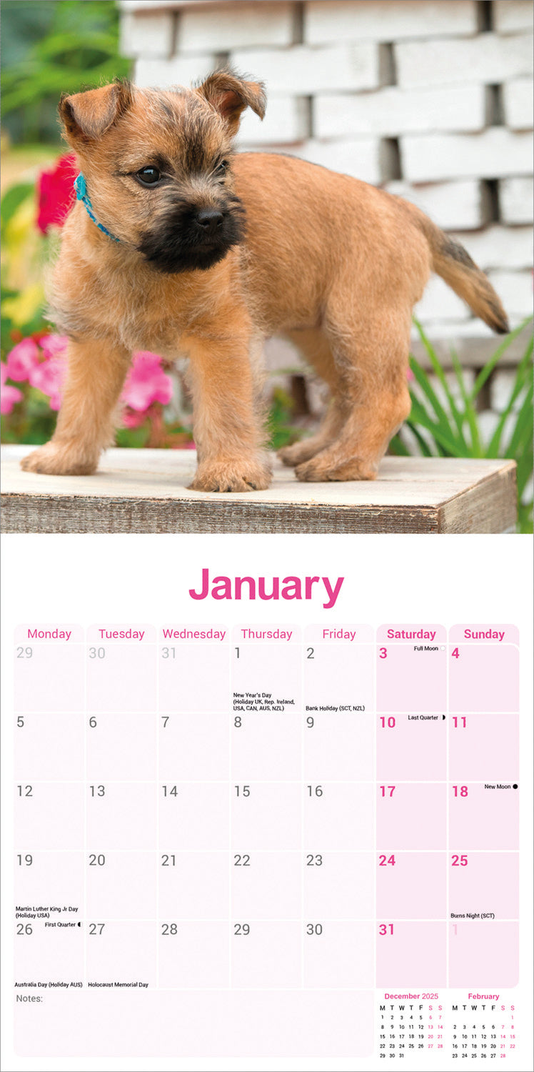 Cairn Terrier Wall Calendar 2026