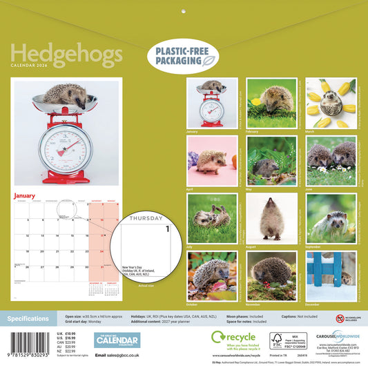 Hedgehogs Wall Calendar 2026