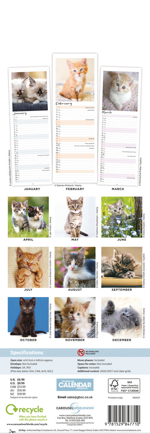 Kittens Slim Calendar 2026