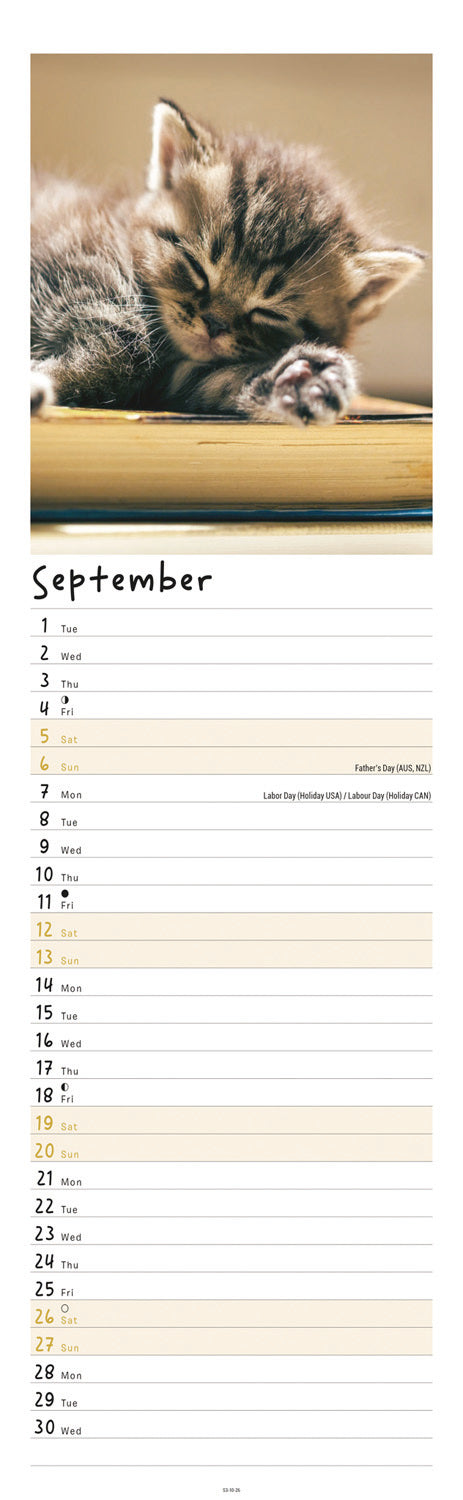Kittens Slim Calendar 2026