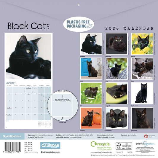 Black cats wall calendar 2026