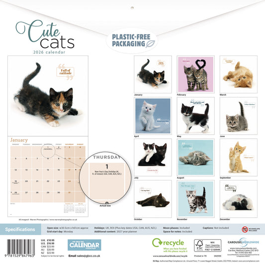 Cute Cats Wall Calendar 2026