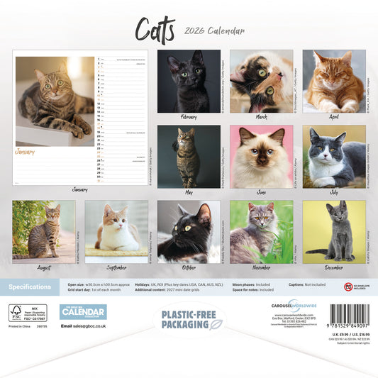 Cats Wall Calendar 2026