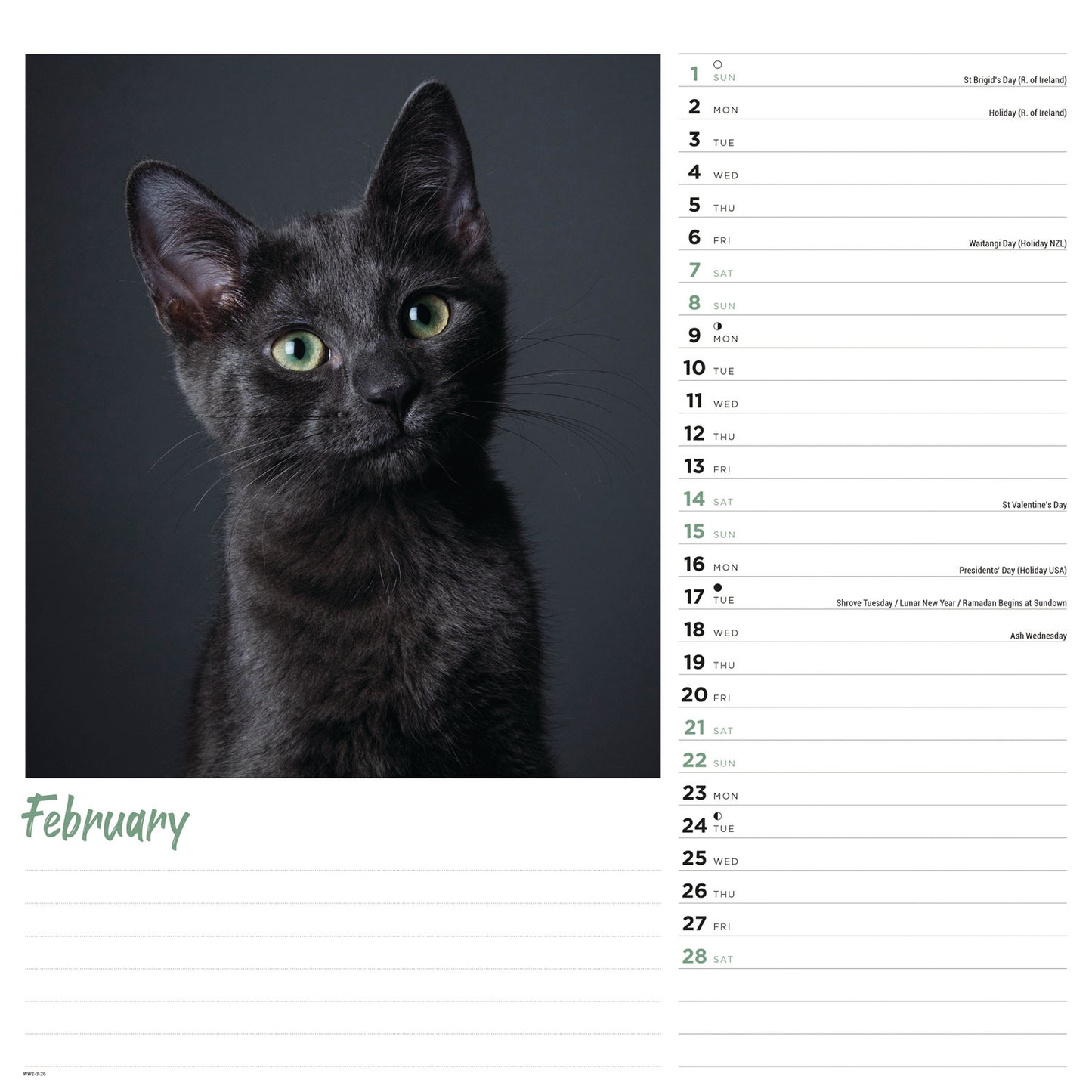 Cats Wall Calendar 2026