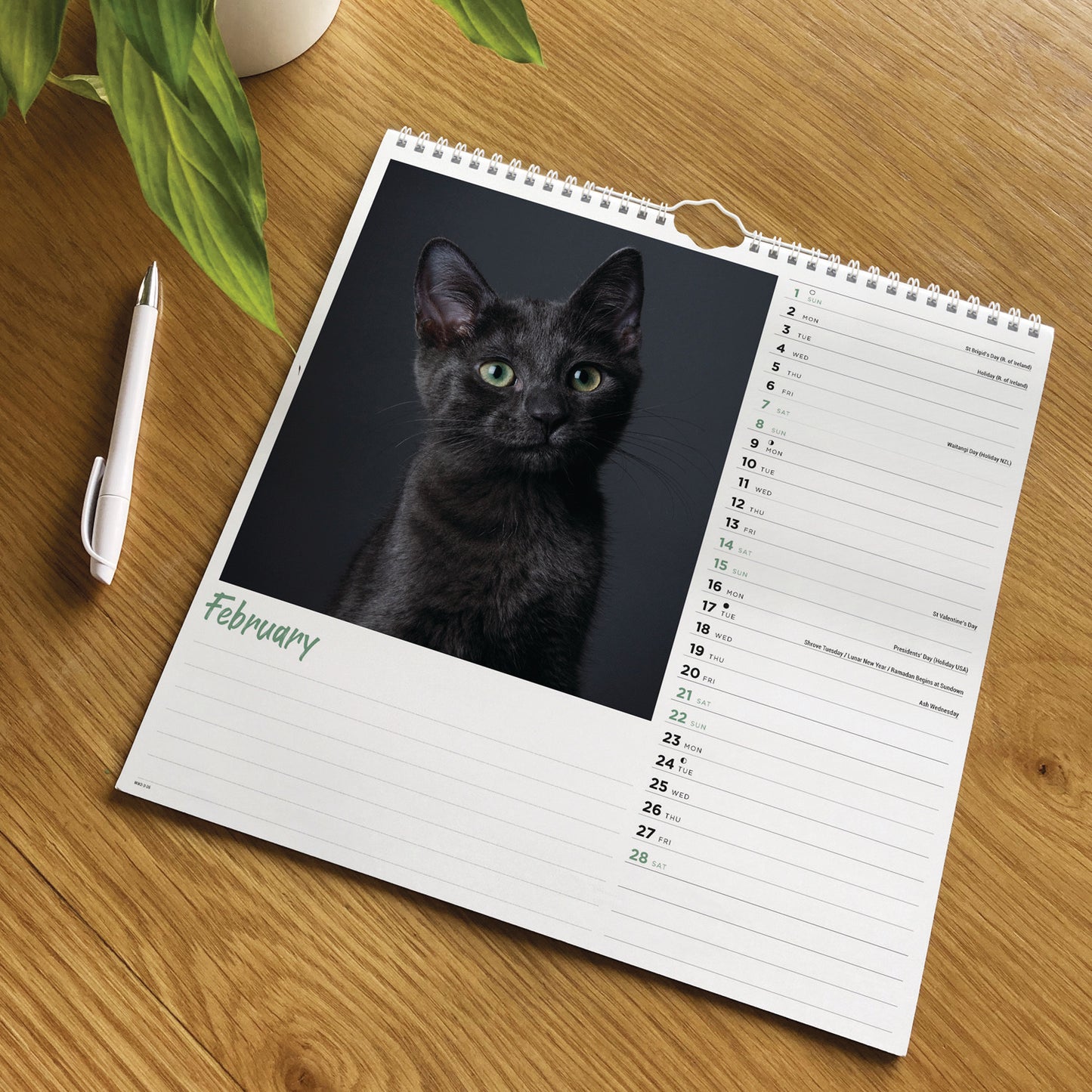 Cats Wall Calendar 2026