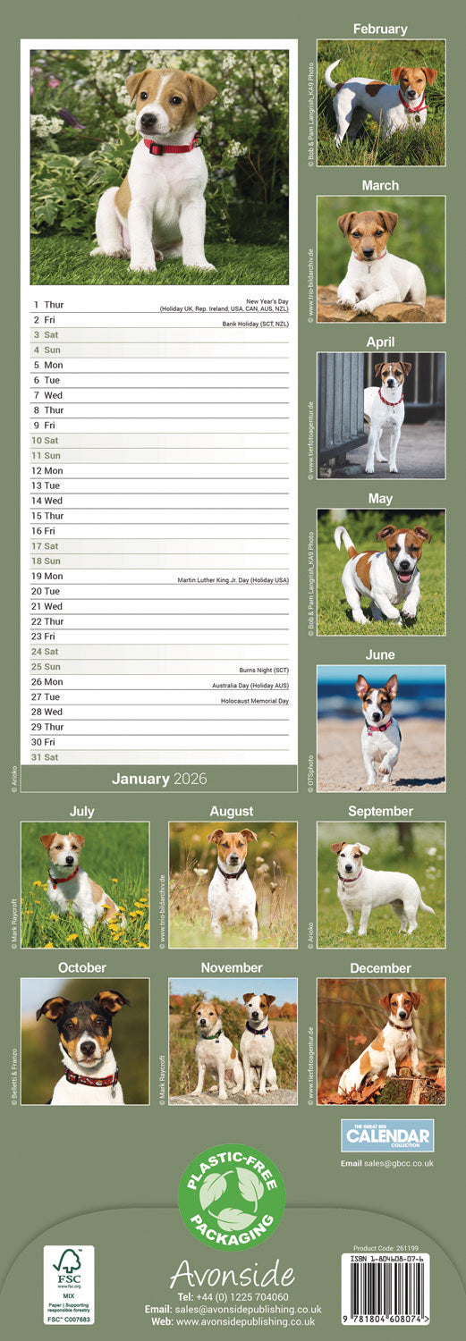 Jack Russell Slim Calendar 2026