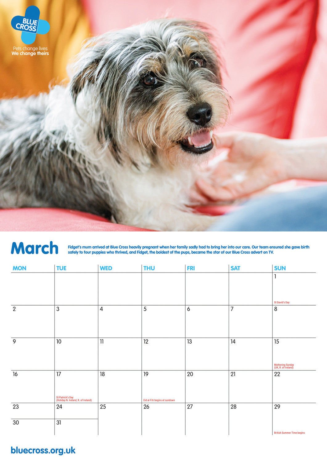 Blue Cross A4 Calendar 2026