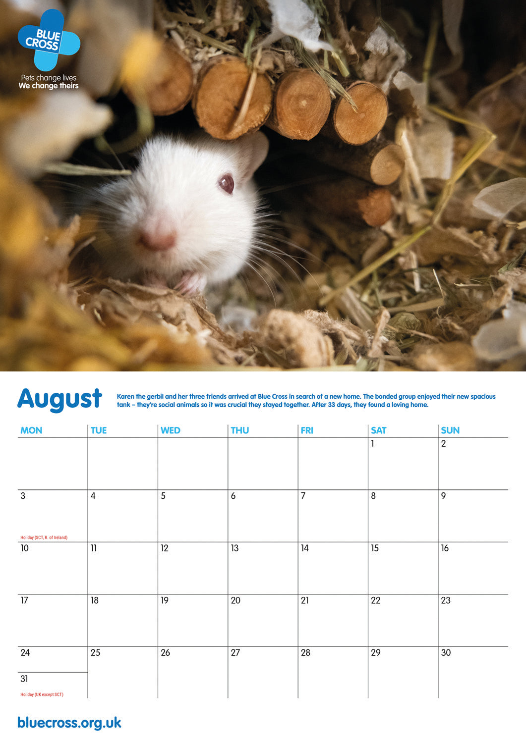 Blue Cross A4 Calendar 2026