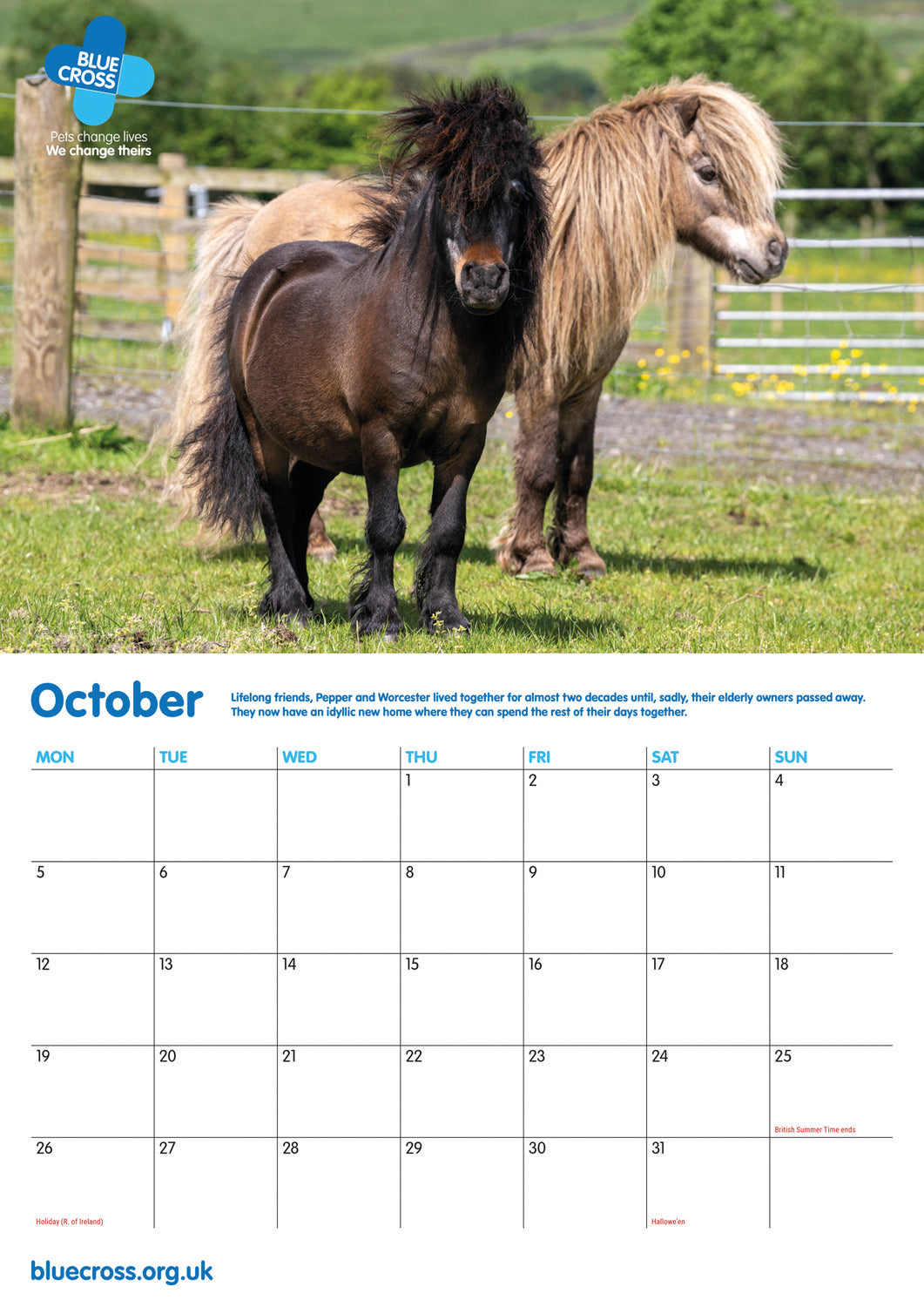 Blue Cross A4 Calendar 2026