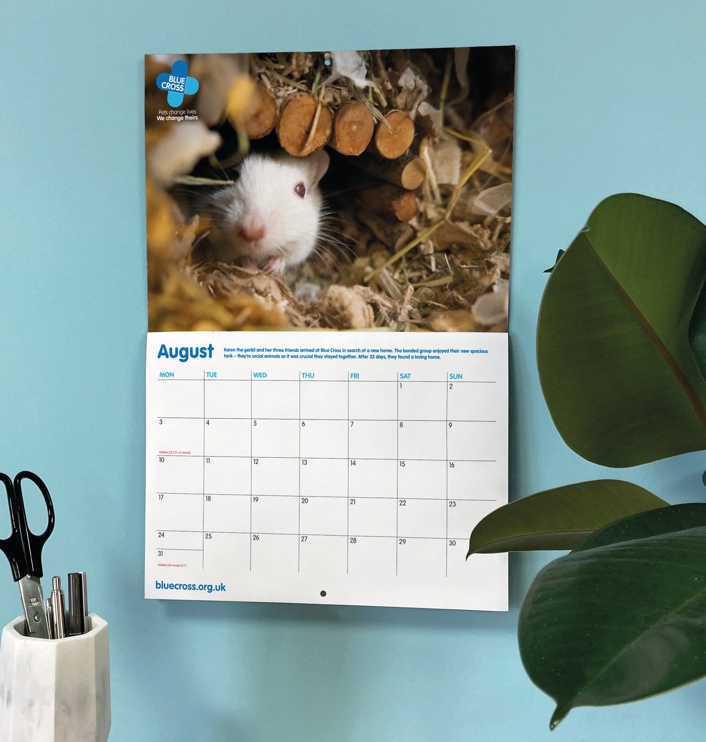 Blue Cross A4 Calendar 2026
