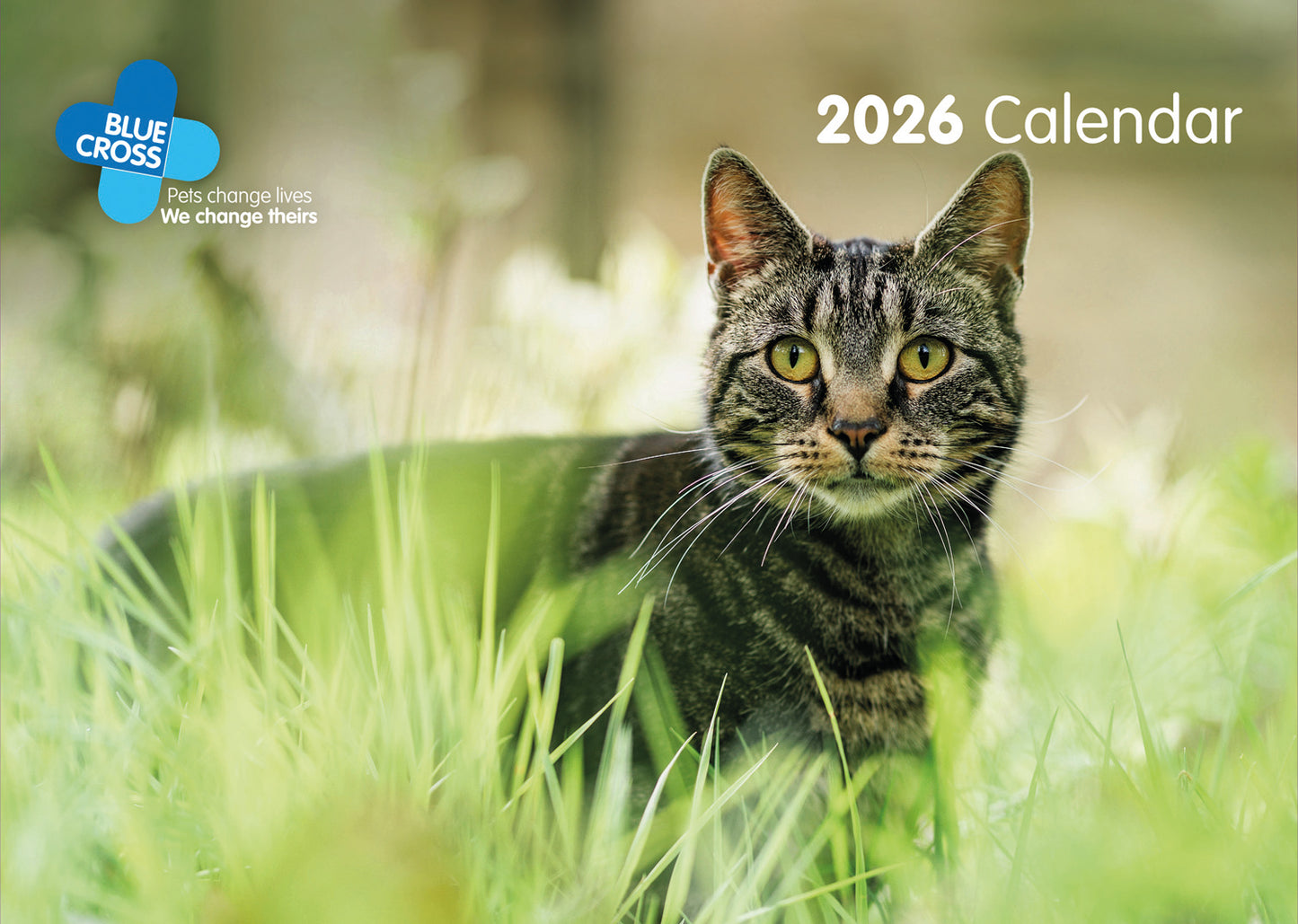 Blue Cross A4 Calendar 2026