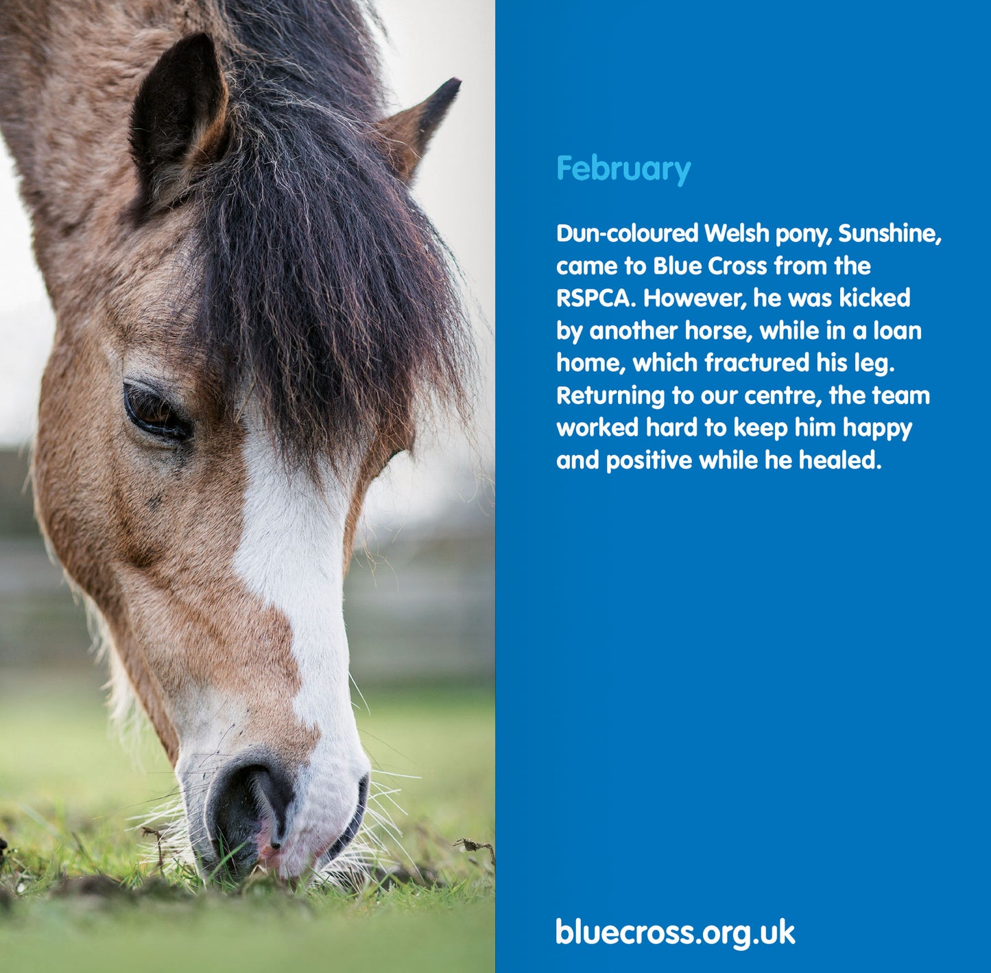 Blue Cross Slim Diary 2026