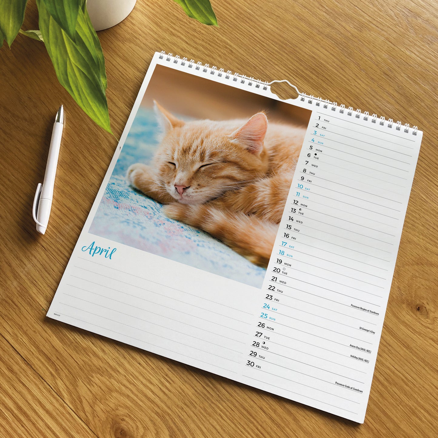 Cats Wall Calendar 2027