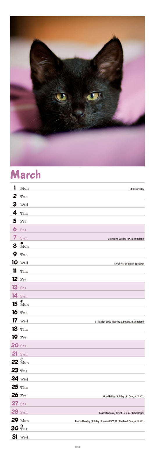 Kittens Slim Calendar 2027