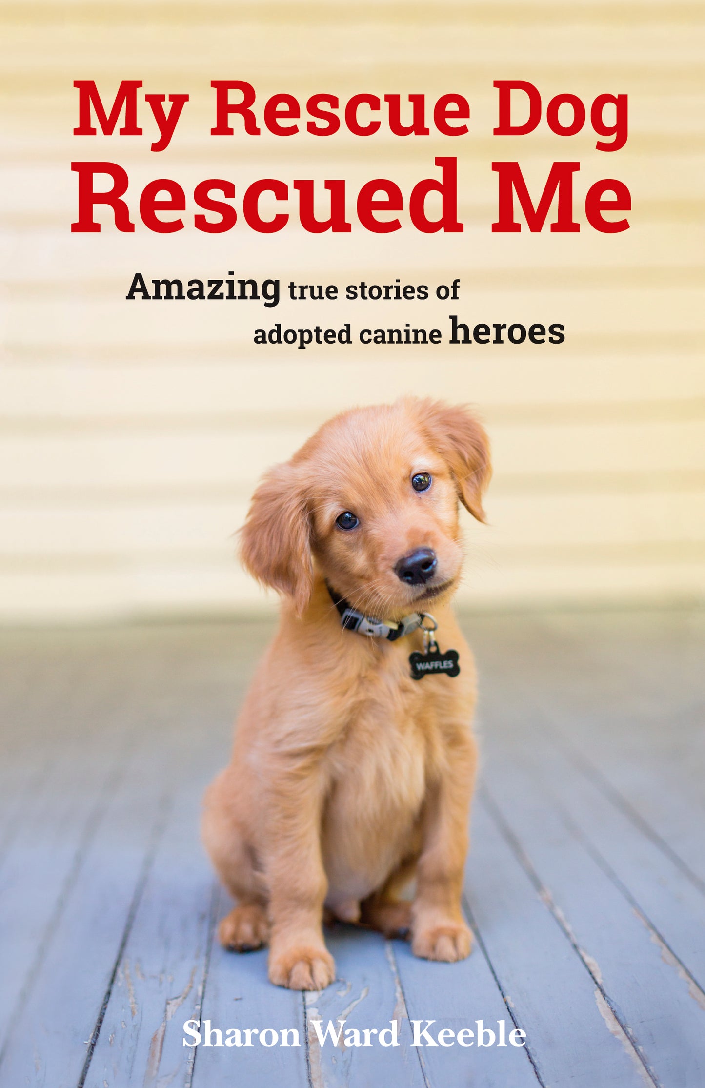 My Rescue Dog Rescued Me Book