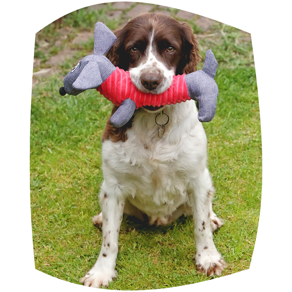 Dachshund Dog Toy