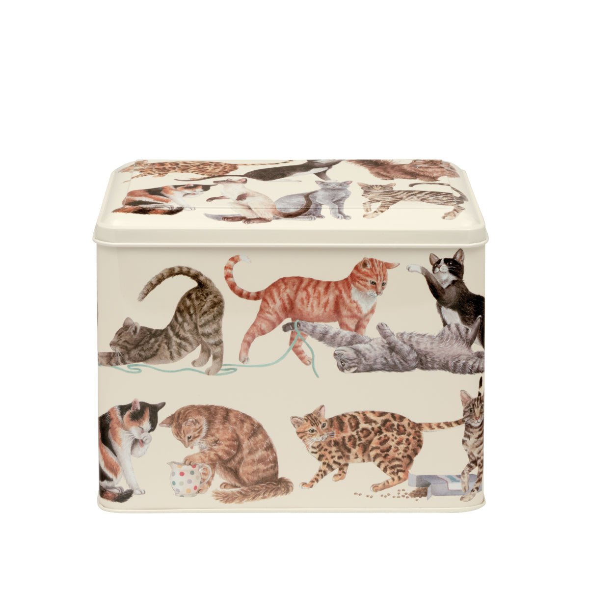 Emma Bridgewater Cats Caddy Tin