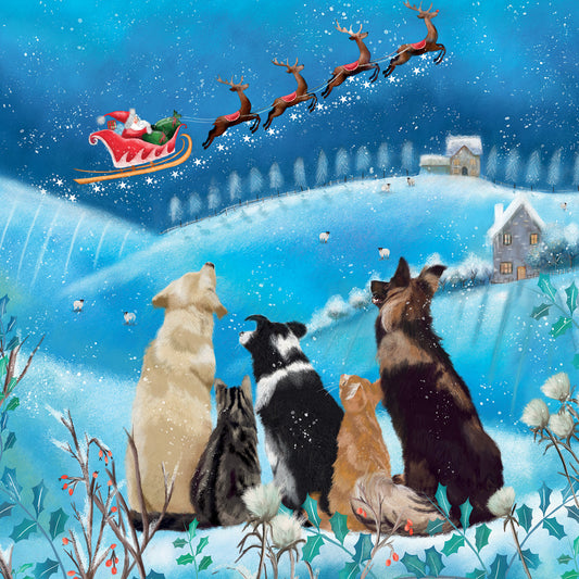 It's Christmas Time! Christmas Card Pack