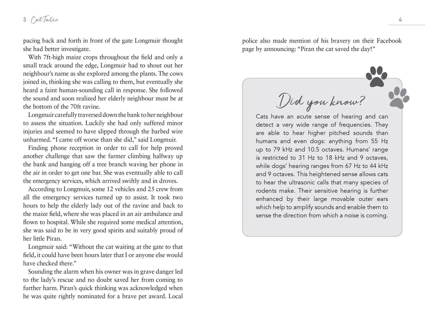 Cat Tales Book