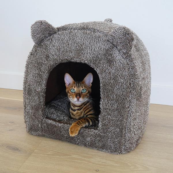 Teddy Bear Cat Bed