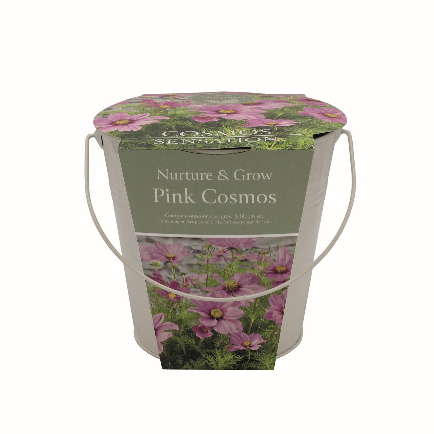 Pink Cosmos Grow Set
