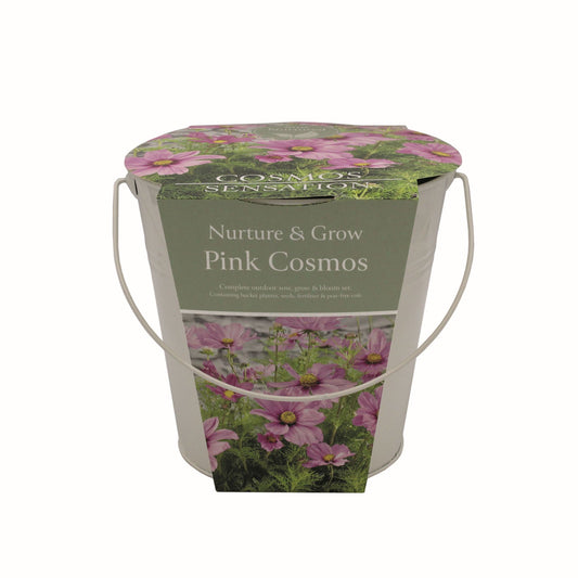 Pink Cosmos Grow Set