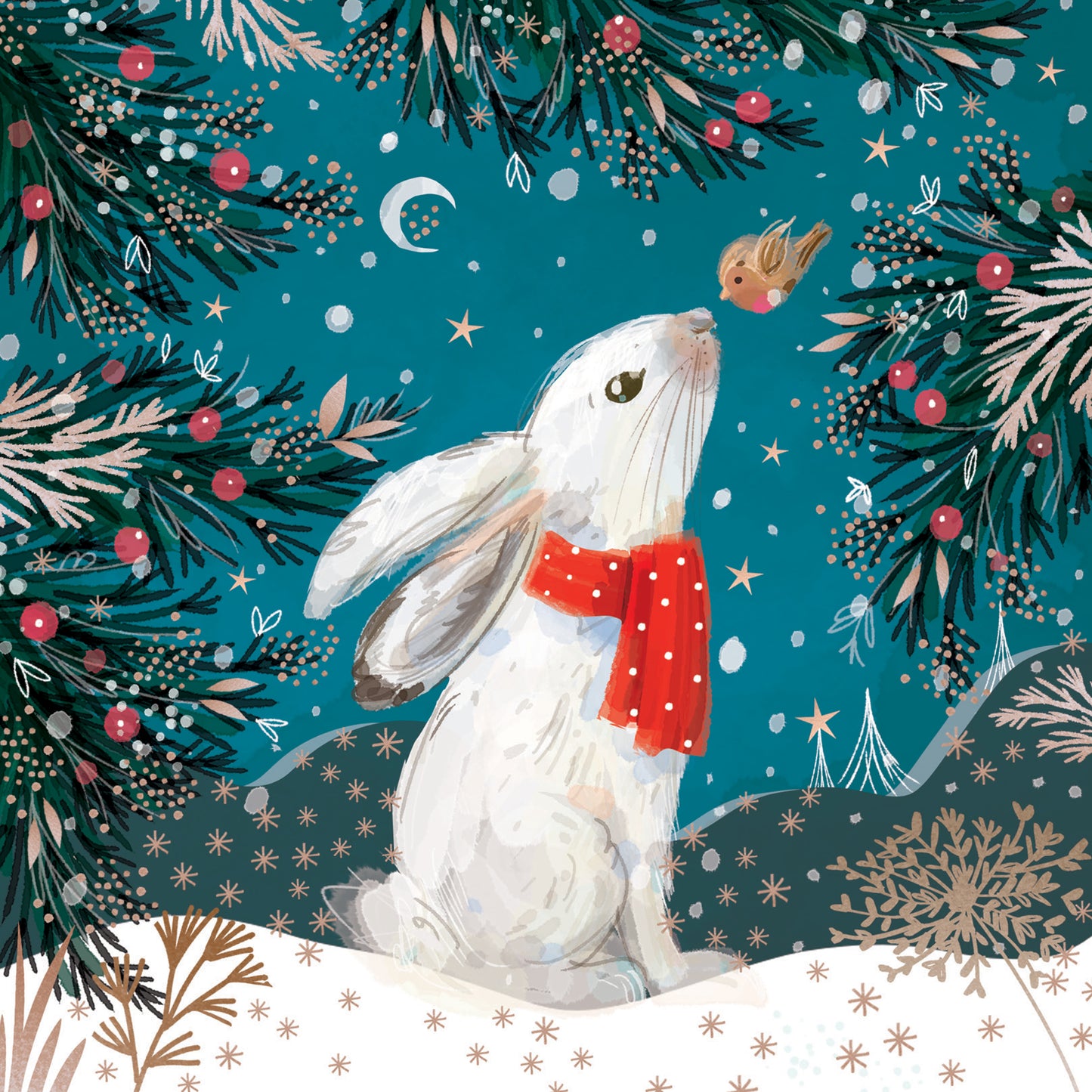 Snowy Hare Christmas Cards