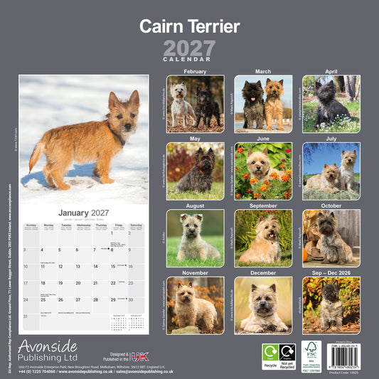 Cairn Terrier Wall Calendar 2027