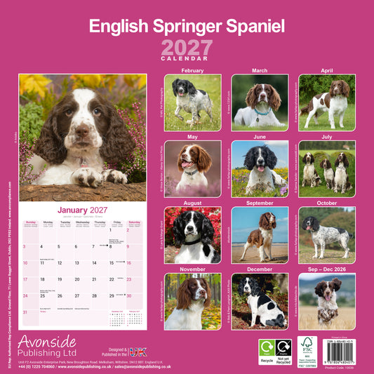 English Springer Spaniel Wall Calendar 2027