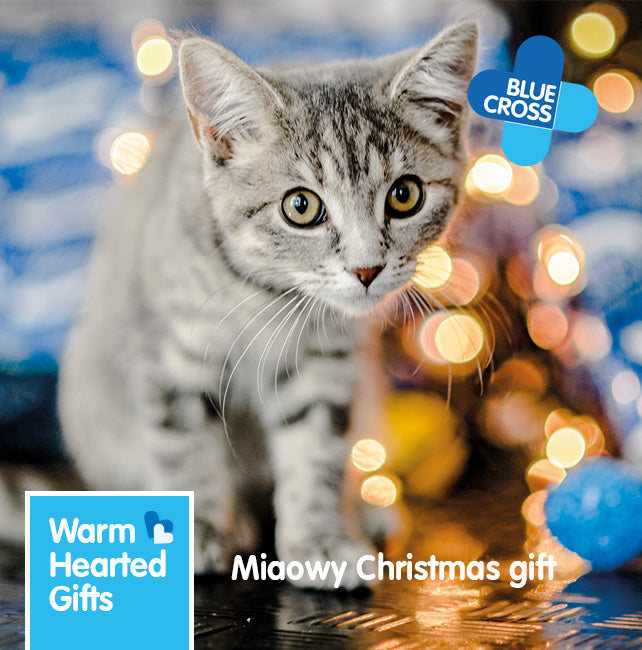 Warm Hearted Gift - Miaowy Christmas
