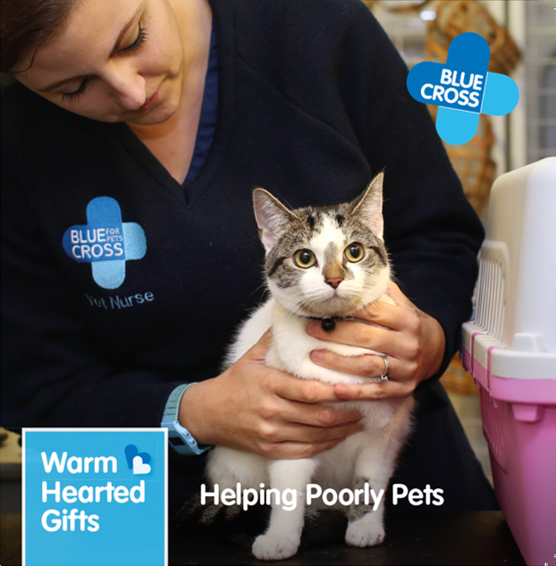 Warm Hearted Gift - Poorly Pets