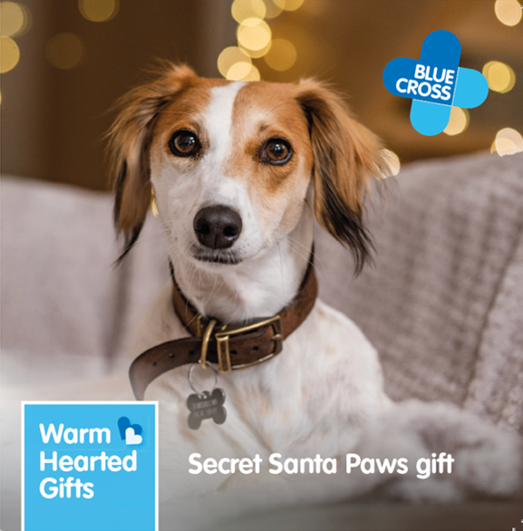 Warm Hearted Gift - Santa Paws