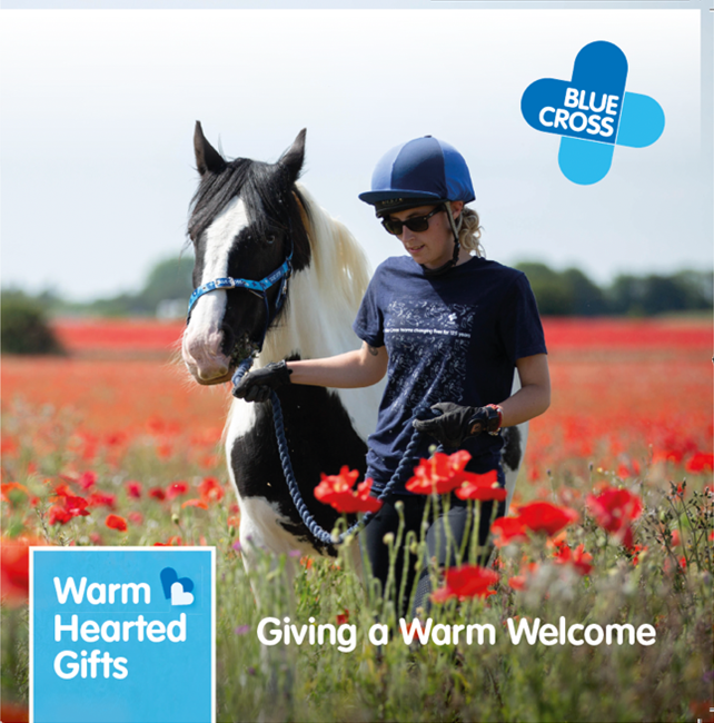 Warm Hearted Gift - Warm Welcome
