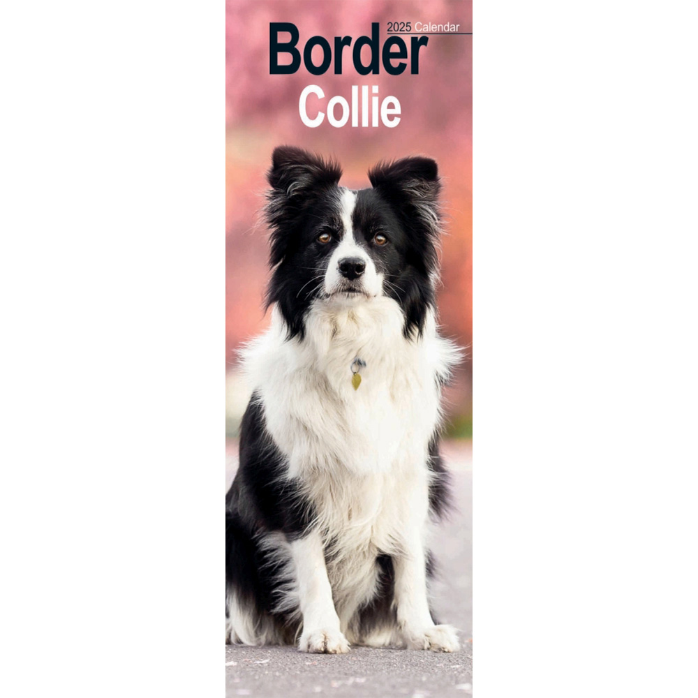 Border Collie Slim Calendar 2025