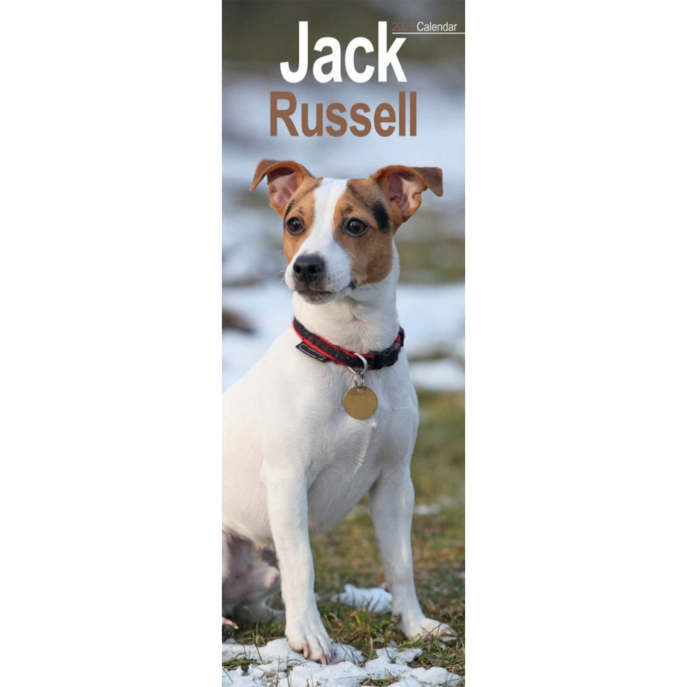 The Dog Wall Calendar 2025 Jack Russell