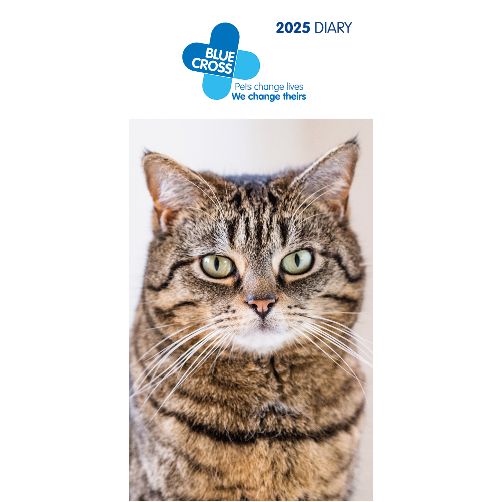 Blue Cross Diary 2025