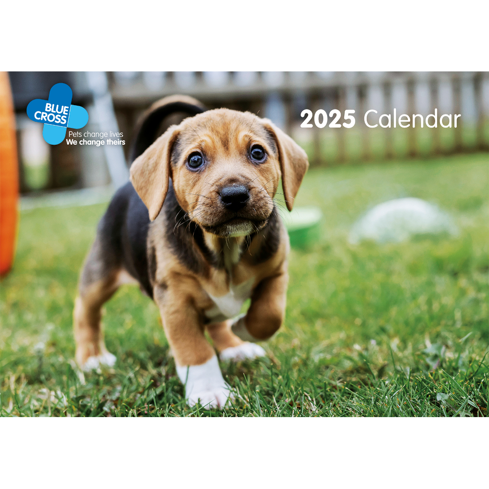 Blue Cross Calendar 2025