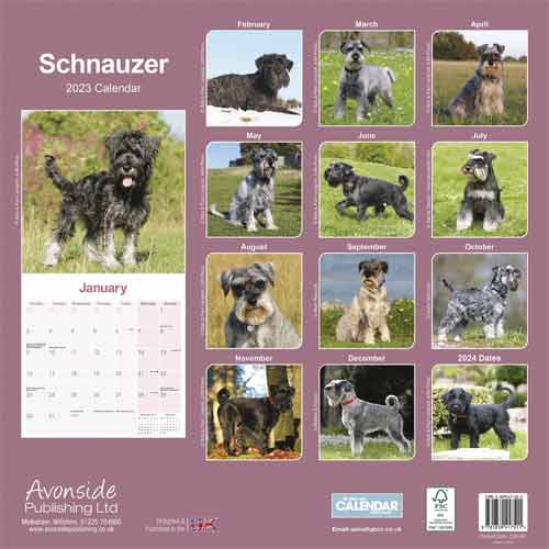 Schnauzer Wall Calendar 2023 Buy from the Blue Cross Gift Shop