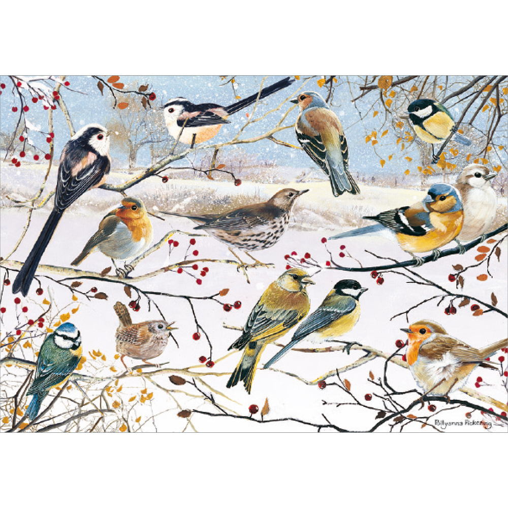 Winter Birds Jigsaw 1000 piece