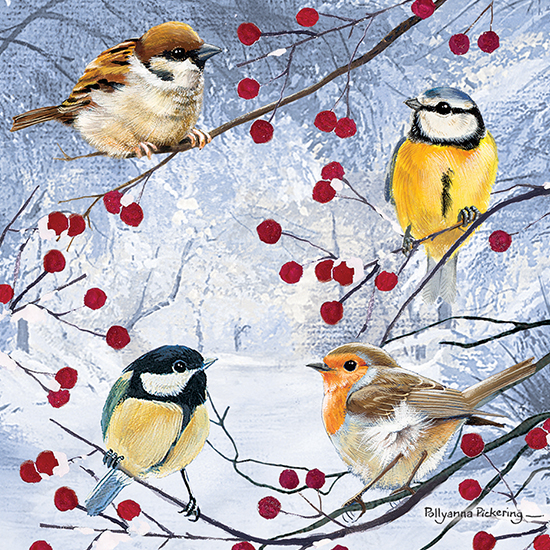 Birds and Berries cards