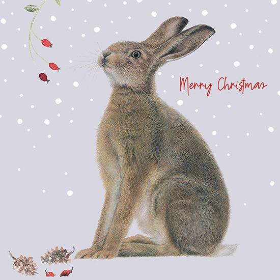 A Hare in Winter cards