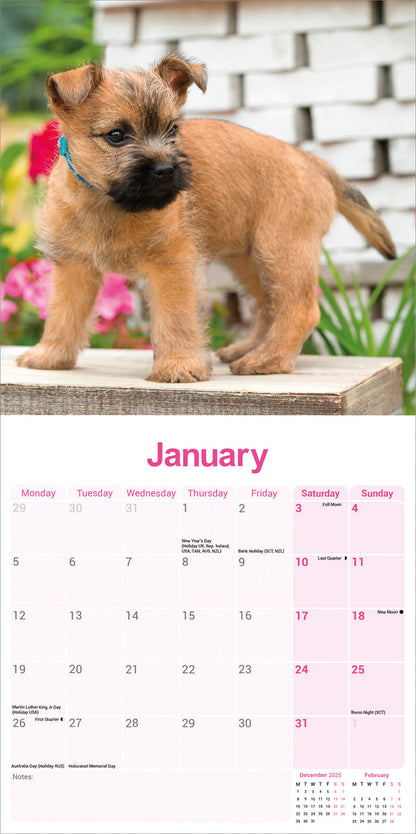 Cairn Terrier Wall Calendar 2026