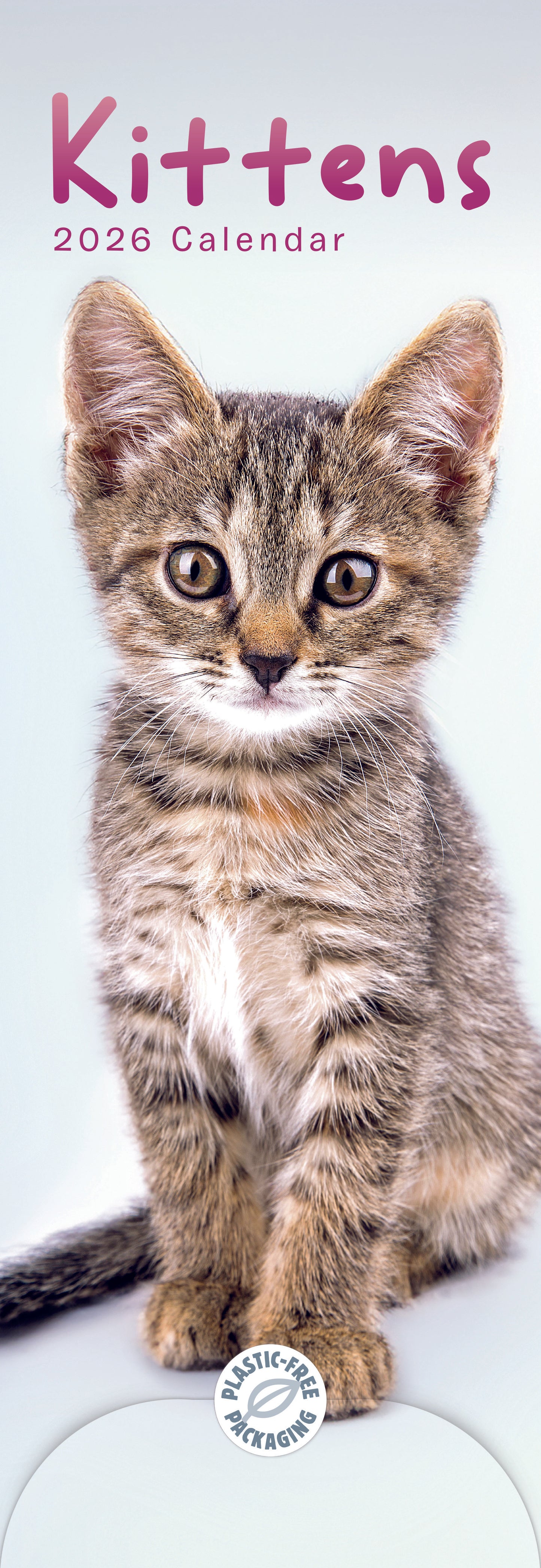 Kittens Slim Calendar 2026