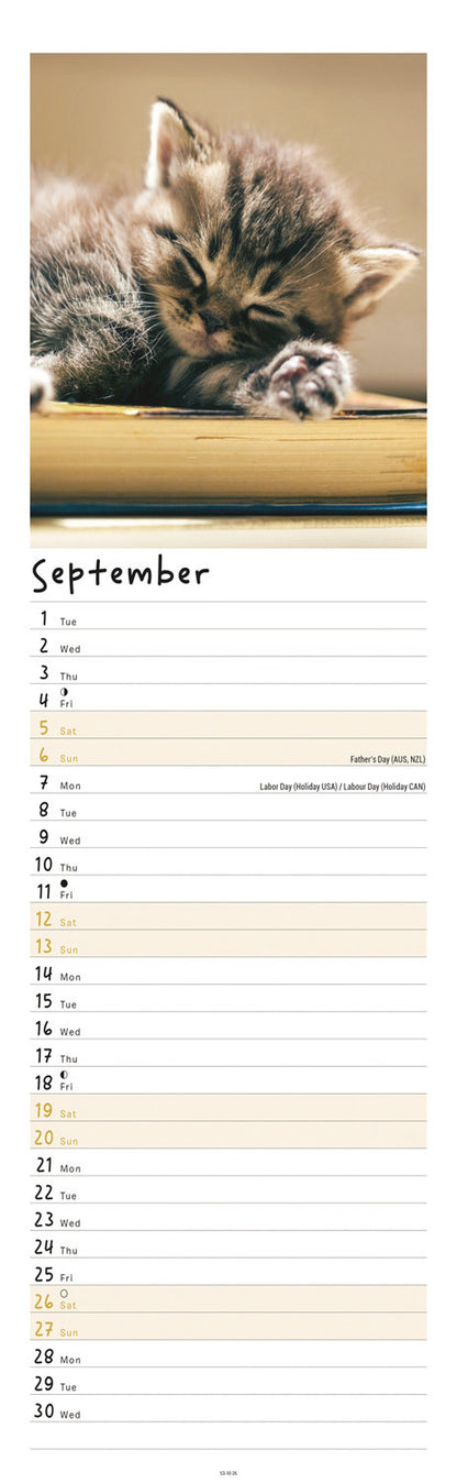 Kittens Slim Calendar 2026