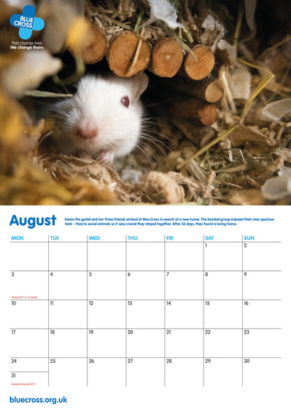 Blue Cross A4 Calendar 2026