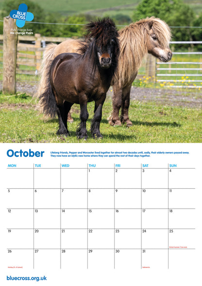 Blue Cross A4 Calendar 2026