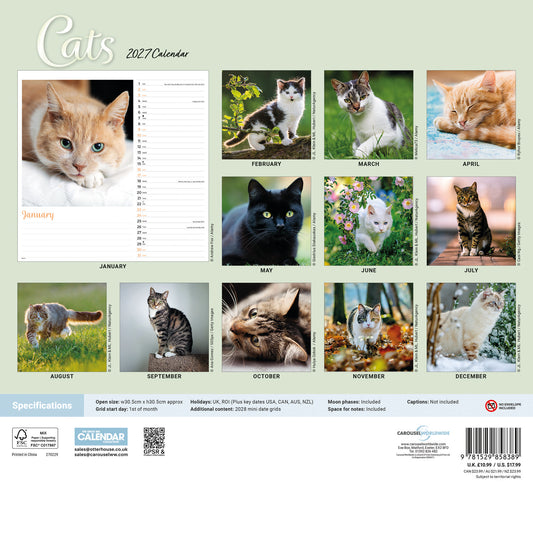 Cats Wall Calendar 2027