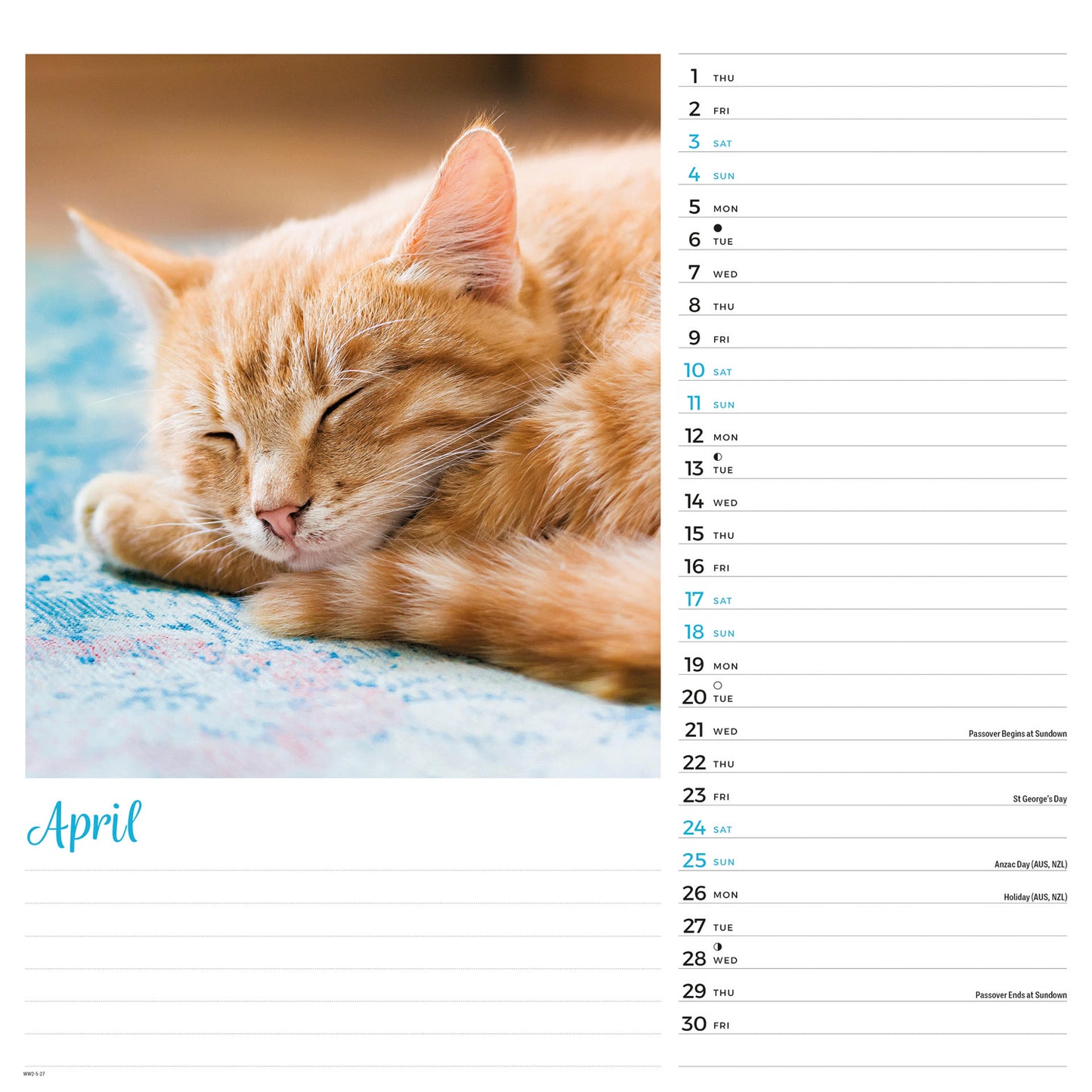 Cats Wall Calendar 2027