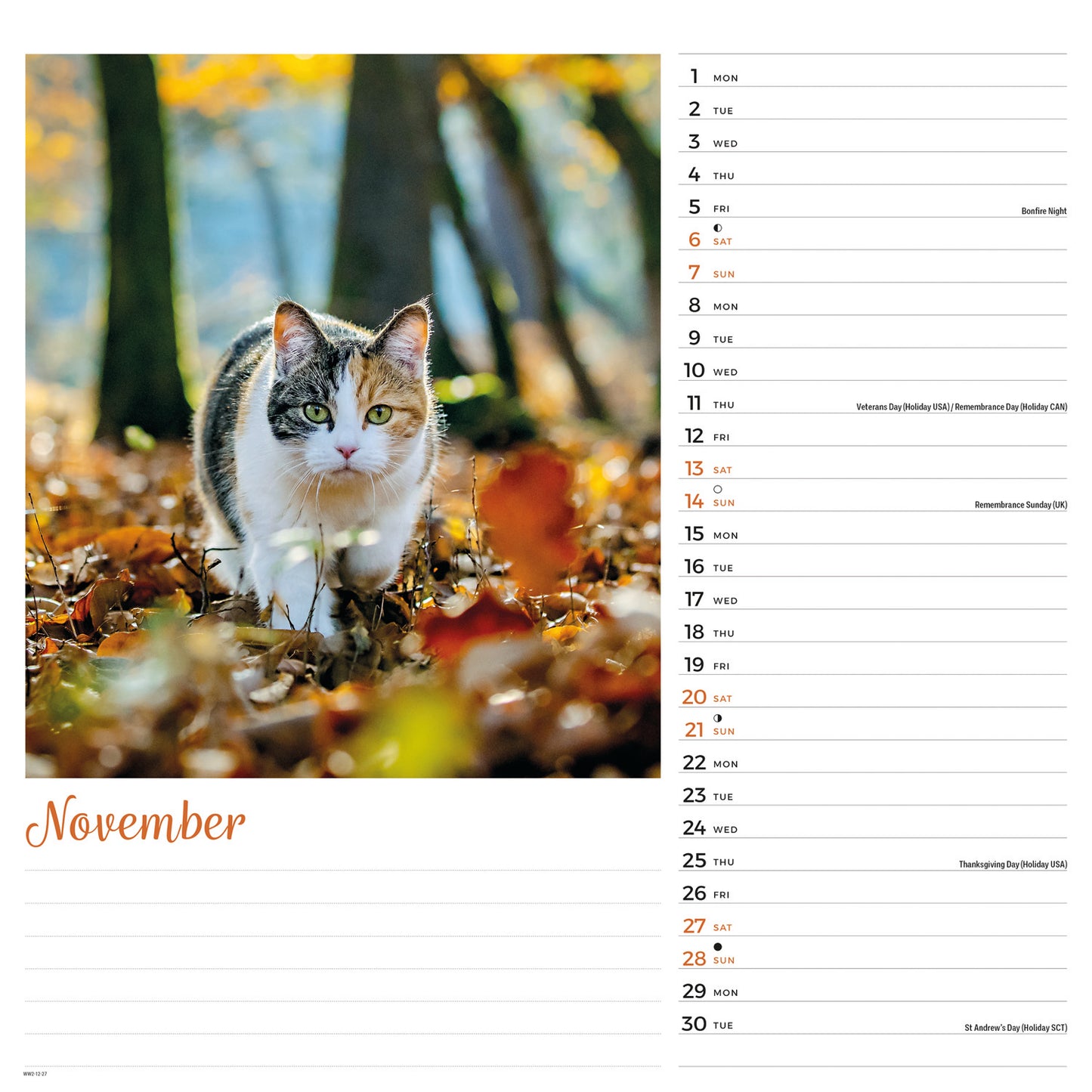 Cats Wall Calendar 2027