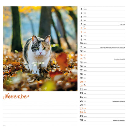 Cats Wall Calendar 2027